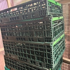 折りたたみコンテナ6コの画像