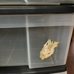 引き出しの画像