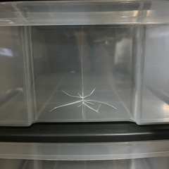 引き出しの画像