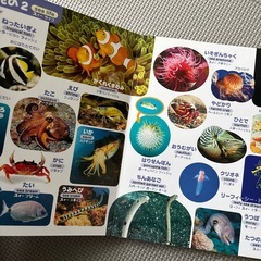 はじめてのずかん555の画像