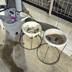 浮く植木鉢2個セットの画像