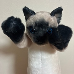 たっちぃzoo シャム猫　ねこ　自立するネコの画像