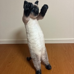 たっちぃzoo シャム猫　ねこ　自立するネコの画像