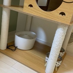 キャットタワーの画像