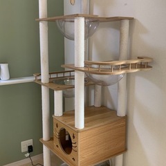 キャットタワーの画像