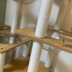 キャットタワーの画像