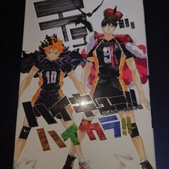 ハイキュー！！全巻のバラ売り。全巻で13000円での販売も可能です。　バラ売りの場合、1冊あたり400円です 他の商品とのまとめ買いで割引します　全巻購入の場合、オマケとして、2枚目以降の商品も無料でお付けできます　　　　　11月20日と24日に限り、別途料金なしで渋谷駅、秋葉原駅、御茶ノ水駅でも取引できます。　　　　の画像