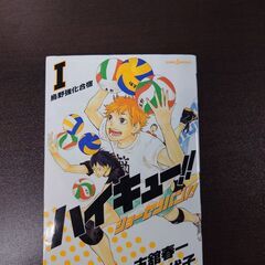 ハイキュー！！全巻のバラ売り。全巻で13000円での販売も可能です。　バラ売りの場合、1冊あたり400円です 他の商品とのまとめ買いで割引します　全巻購入の場合、オマケとして、2枚目以降の商品も無料でお付けできます　　　　　11月20日と24日に限り、別途料金なしで渋谷駅、秋葉原駅、御茶ノ水駅でも取引できます。　　　　の画像