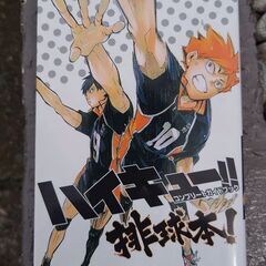 ハイキュー！！全巻のバラ売り。全巻で13000円での販売も可能です。　バラ売りの場合、1冊あたり400円です 他の商品とのまとめ買いで割引します　全巻購入の場合、オマケとして、2枚目以降の商品も無料でお付けできます　　　　　11月20日と24日に限り、別途料金なしで渋谷駅、秋葉原駅、御茶ノ水駅でも取引できます。　　　　の画像