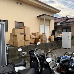 メガネ メガネケース 新品 無料 配布 譲ります 大量 眼鏡 サングラス ケース おしゃれ まとめて 処分 雑貨 グッズ 未使用 在庫 生活用品 アクセサリー 収納 保管 先着 早い者勝ちの画像