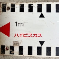 中古◆二つ折りアルミ製標尺◆ハイビスカスの画像