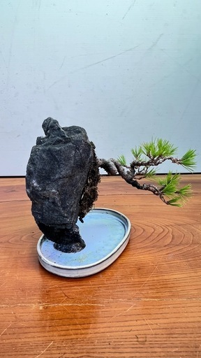13 黒松石付き