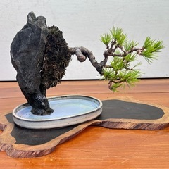 13 黒松石付きの画像