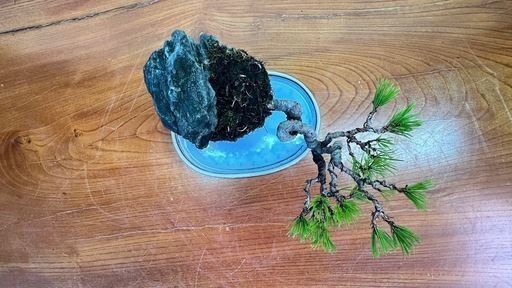 13 黒松石付き