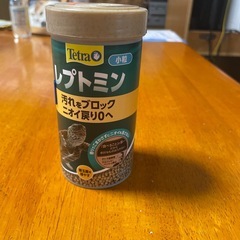 クサガメの画像