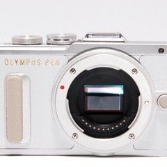 美品 オリンパス OLYMPUS PEN E-PL8 レンズセット ホワイトの画像