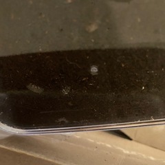 カブトムシ卵と幼虫
の画像