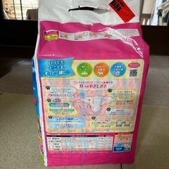マナーウェア　犬用オムツ　女の子用　Lサイズの画像