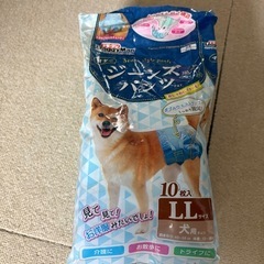 マナーウェア　犬用オムツ　女の子用　Lサイズの画像