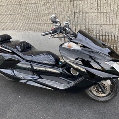 YAMAHA マグザム　250の画像
