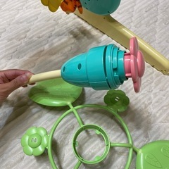 プーメリーの画像