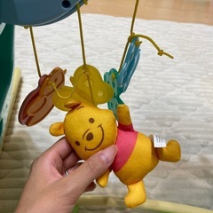 プーメリーの画像