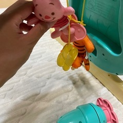 プーメリーの画像