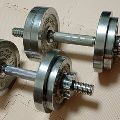 11.5kgダンベルセットの画像