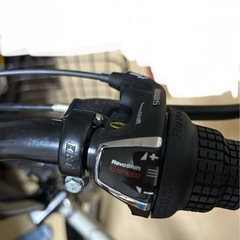 DESERTO 20インチ　折りたたみ自転車　新品未使用　カバー付きの画像