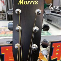 【ジャングルジャングル石津店】Morris モーリス アコースティックギター W-20 MORRIS アコギ 堺市 堺区 西区 石津の画像