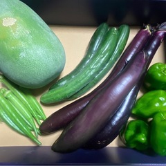 【野菜セット】の画像