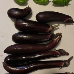 無農薬野菜🍆🫑の画像