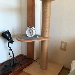 スリムなキャットタワーの画像