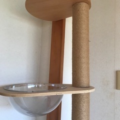 スリムなキャットタワーの画像