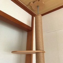 スリムなキャットタワーの画像