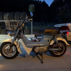 ホンダ　シャリー　CF50 4mini 88cc 6v モンキー　ダックスの画像