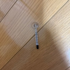 水槽セット①1000円！　ベタや金魚にピッタリ！の画像