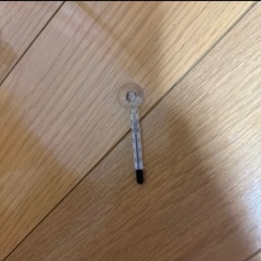 水槽セット③ 1000円!  ベタや金魚おすすめ！の画像