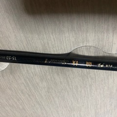 がま磯グレスペ2格安⁉️の画像