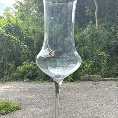 巨大なグラス　花瓶の画像