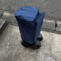 アウトドア
キャリーワゴンを無料で差し上げますの画像