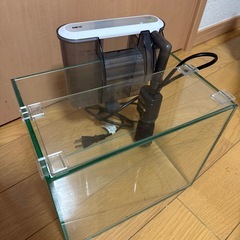 ①今すぐ飼える25cm水槽セット！の画像