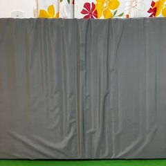 ①【まとめ売り可能】パラマウント　エバーリーフ　介護　マットレスの画像