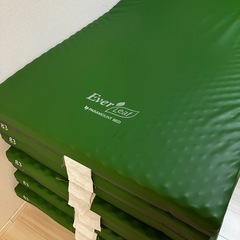 ①【まとめ売り可能】パラマウント　エバーリーフ　介護　マットレスの画像