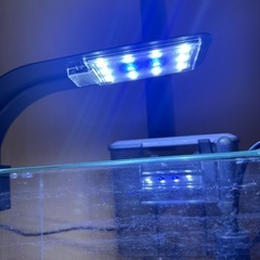 水槽用LEDライトのみの画像