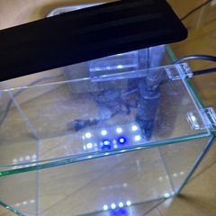 水槽用LEDライトのみの画像