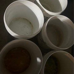 オイルの空きペールプラスチック製の画像