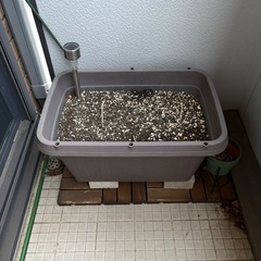 プランター　土　セットの画像