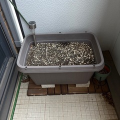 プランター　土　セットの画像