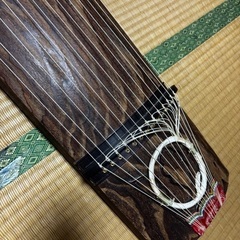 琉球琴の画像